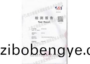 水環式真(zhen)空泵檢(jian)測(ce)報(bao)告(gao)
